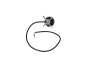 karol_54karol.png