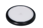karol_12karol.png